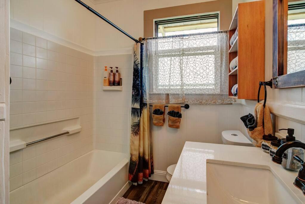New Paddler'S Inn- 3Br Hilo Downtown Zewnętrze zdjęcie